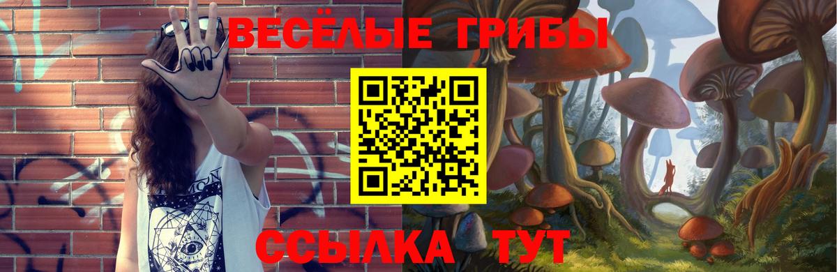 Галлюциногенные грибы мухоморы  Псилоцибиновые грибы GOLDEN TEACHER  Вход с VPN  Кумертау 